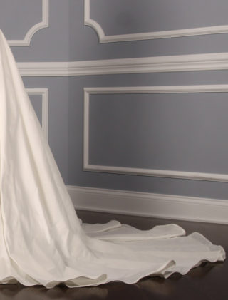 Pronovias Almata Wedding Dress Side Skirt Train